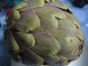 Artichauts en salade